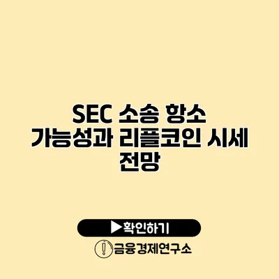 SEC 소송 항소 가능성과 리플코인 시세 전망