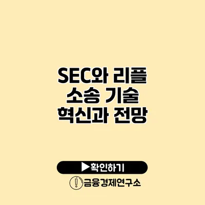 SEC와 리플 소송 기술 혁신과 전망