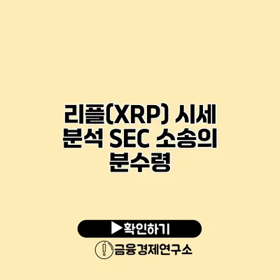리플(XRP) 시세 분석 SEC 소송의 분수령