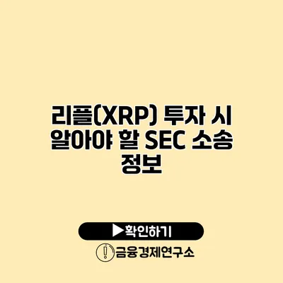 리플(XRP) 투자 시 알아야 할 SEC 소송 정보