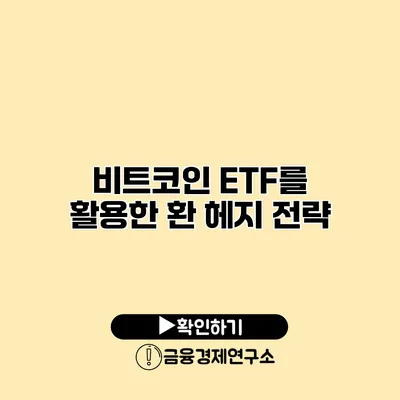비트코인 ETF를 활용한 환 헤지 전략