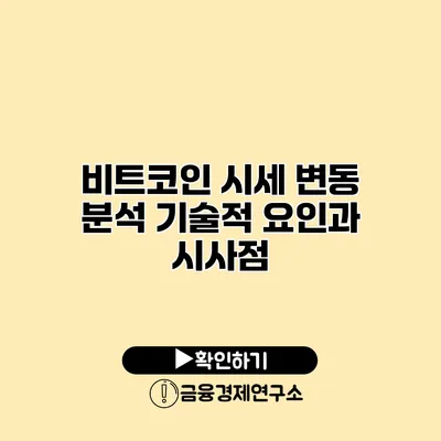 비트코인 시세 변동 분석 기술적 요인과 시사점