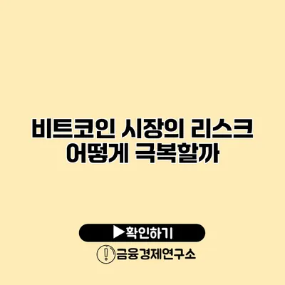 비트코인 시장의 리스크 어떻게 극복할까?