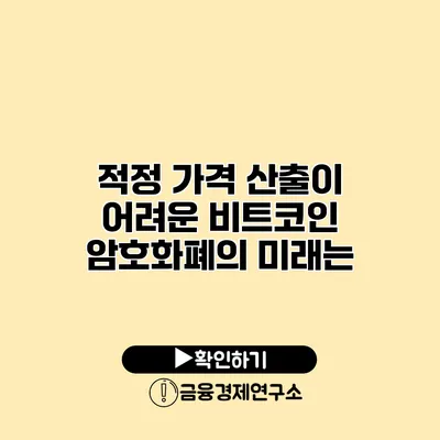 적정 가격 산출이 어려운 비트코인 암호화폐의 미래는?