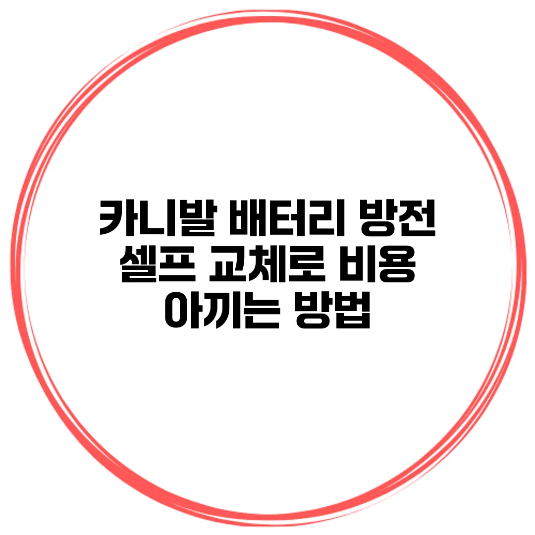 카니발 배터리 방전 셀프 교체로 비용 아끼는 방법