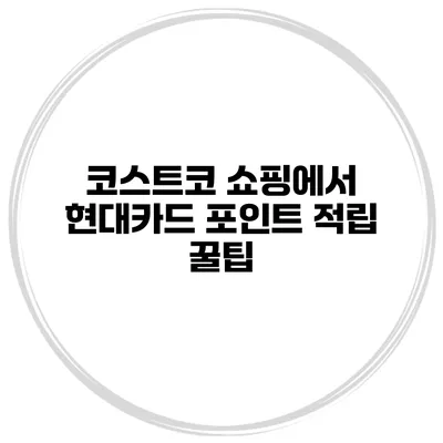 코스트코 쇼핑에서 현대카드 포인트 적립 꿀팁